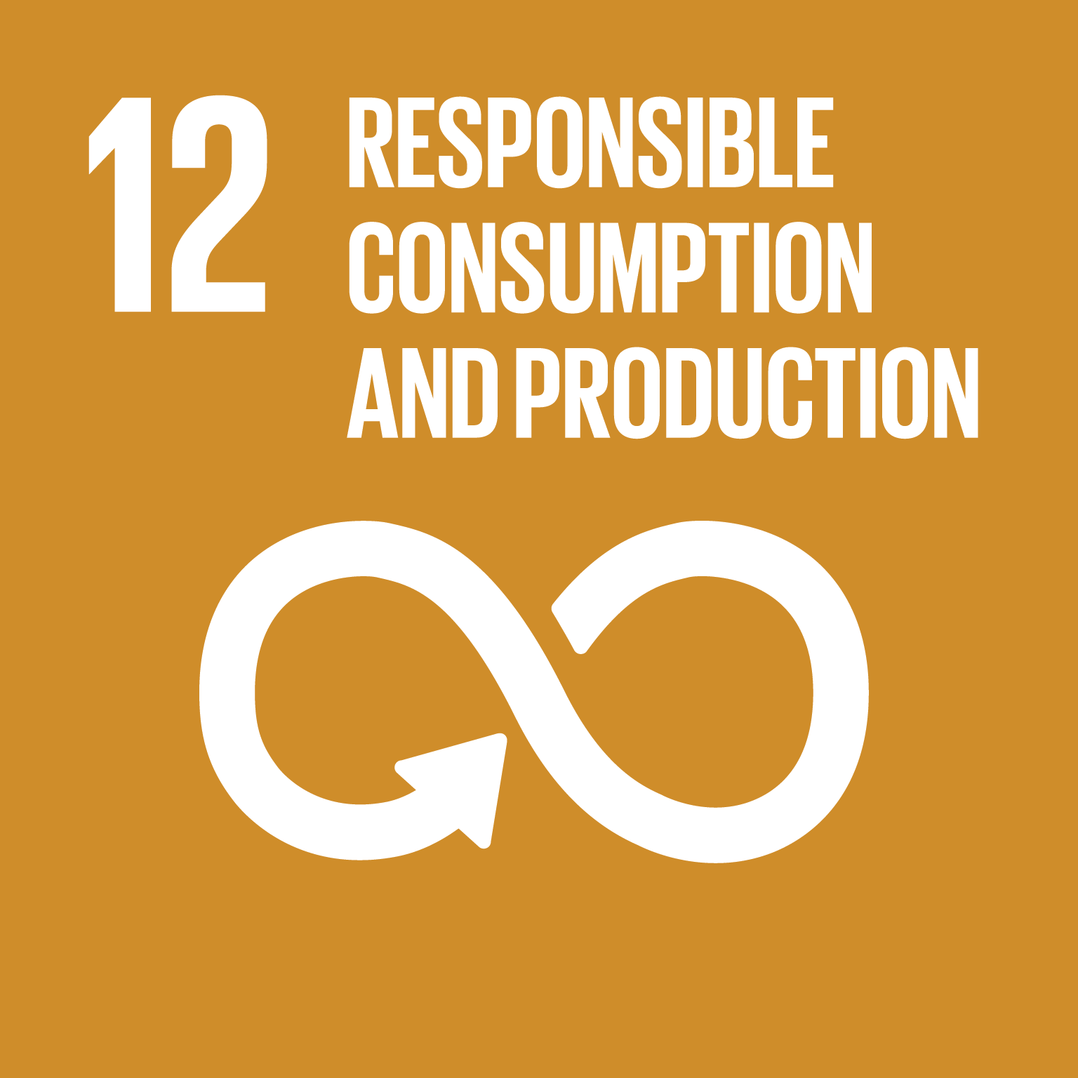 SDG 12: Responsible consumption and production