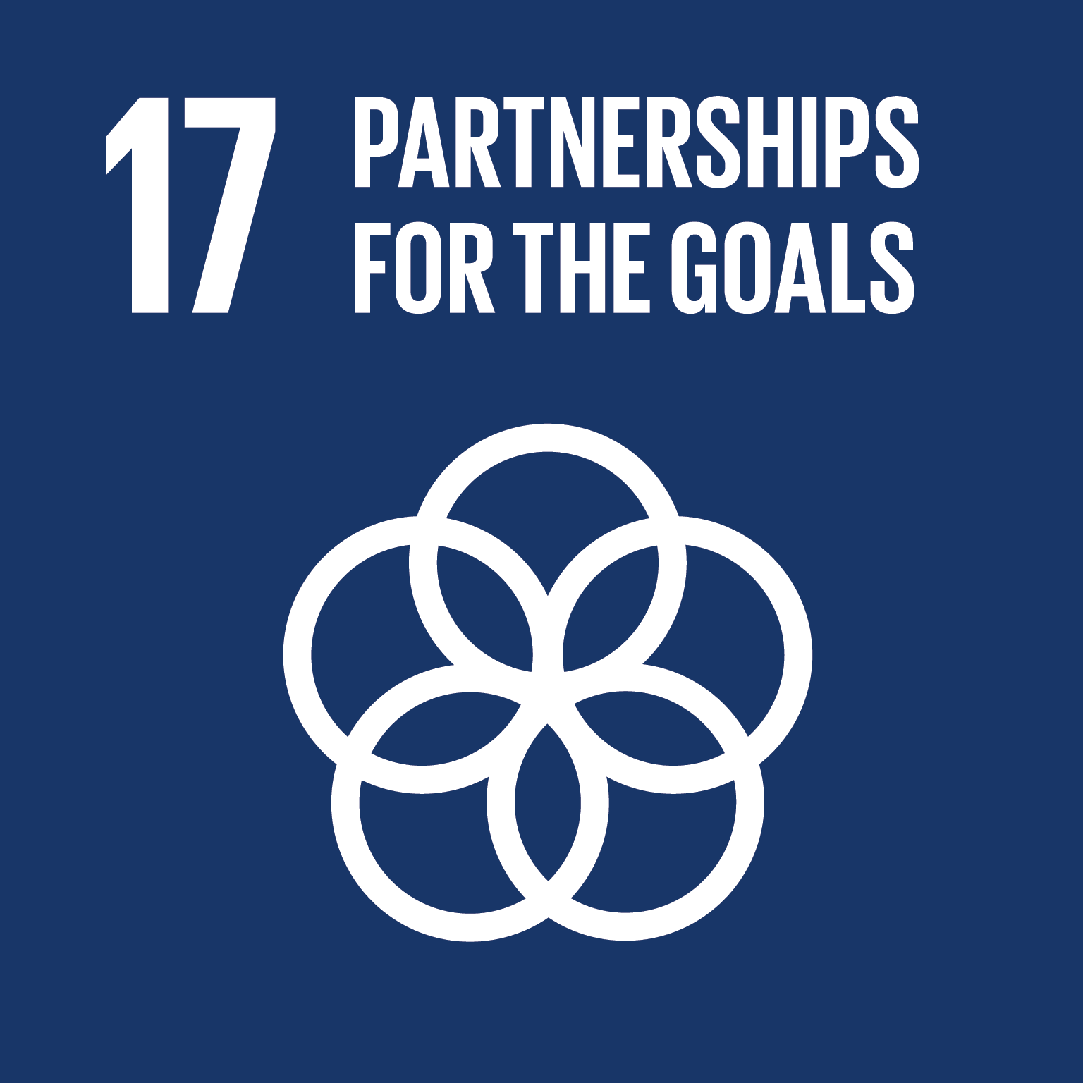 SDG 17: Partnerships for the goals